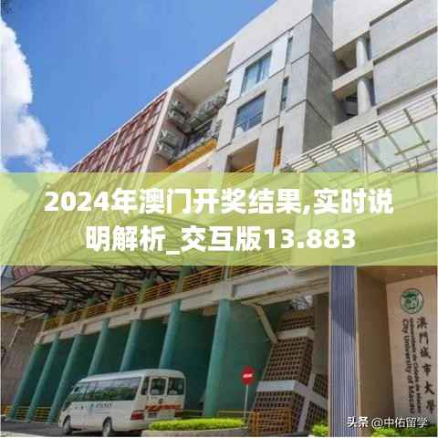 2024年澳门开奖结果,实时说明解析_交互版13.883