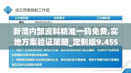新澳内部资料精准一码免费,实地方案验证策略_定制版9.455