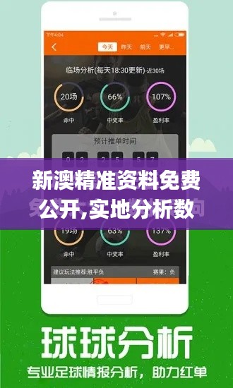 新澳精准资料免费公开,实地分析数据计划_Pixel19.990