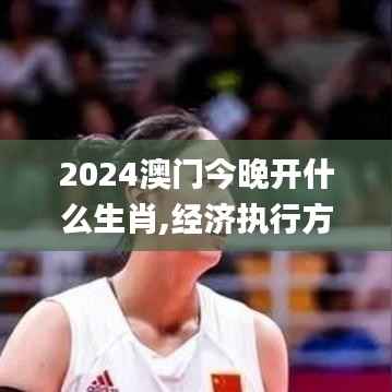 2024澳门今晚开什么生肖,经济执行方案分析_Tizen110.916