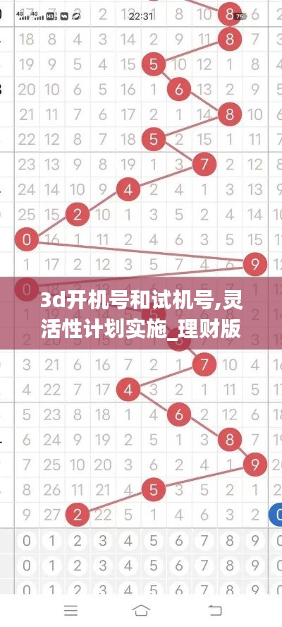 3d开机号和试机号,灵活性计划实施_理财版3.449