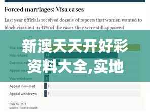 新澳天天开好彩资料大全,实地研究解释定义_交互版13.186