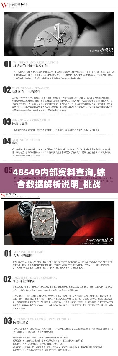 48549内部资料查询,综合数据解析说明_挑战款2.190