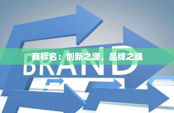 知识产权预算中心 第337页