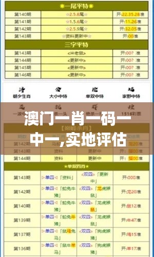 澳门一肖一码一中一,实地评估数据策略_FHD3.517