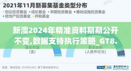 新澳2024年精准资料期期公开不变,数据支持执行策略_GT8.265