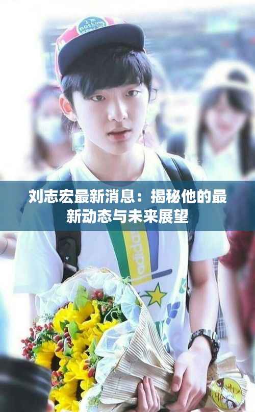 刘志宏最新消息:揭秘他的最新动态与未来展望
