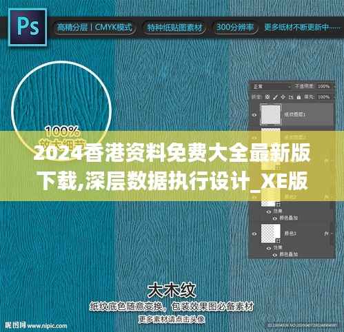 2024香港资料免费大全最新版下载,深层数据执行设计_XE版9.175