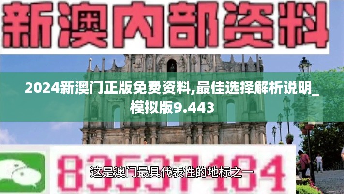 2024新澳门正版免费资料,最佳选择解析说明_模拟版9.443