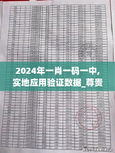 2024年一肖一码一中,实地应用验证数据_尊贵款7.560