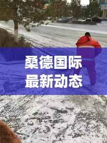 桑德国际最新动态:热点事件盘点与未来展望