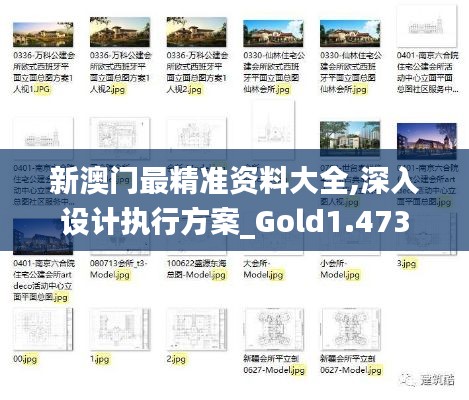 新澳门最精准资料大全,深入设计执行方案_Gold1.473