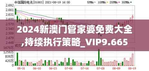 2024新澳门管家婆免费大全,持续执行策略_VIP9.665