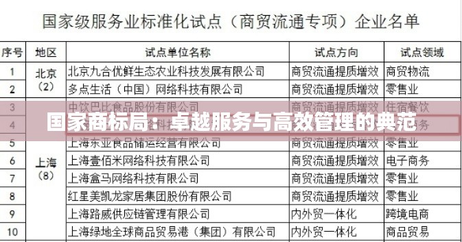 国家商标局:卓越服务与高效管理的典范