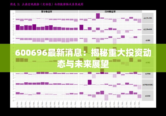 600696最新消息:揭秘重大投资动态与未来展望