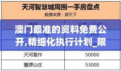 澳门最准的资料免费公开,精细化执行计划_限量版3.932
