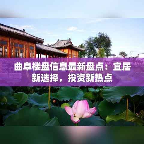 沉灶产蛙 第4页