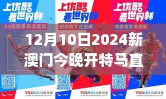 12月10日2024新澳门今晚开特马直播,绝对经典解释落实_VIP8.193