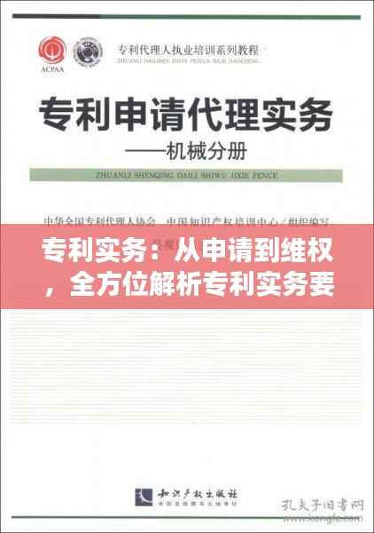 专利实务:从申请到维权,全方位解析专利实务要点