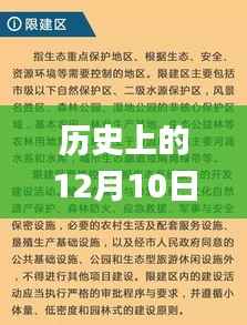 历史上的12月10日澳门三肖三码精准100%黄大仙,整体执行讲解_战略版6.138