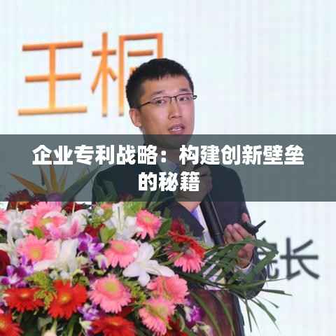 企业专利战略:构建创新壁垒的秘籍