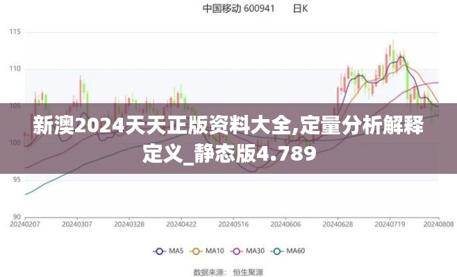 新澳2024天天正版资料大全,定量分析解释定义_静态版4.789