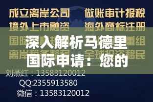 深入解析马德里国际申请：您的商标全球化之路