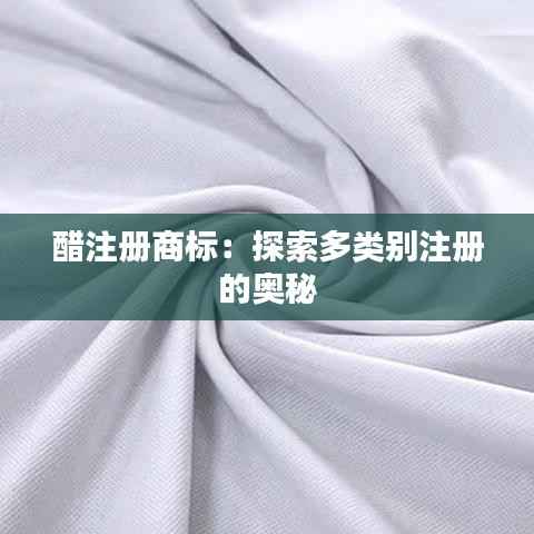 醋注册商标:探索多类别注册的奥秘