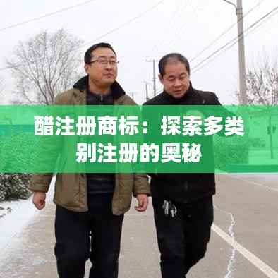 醋注册商标:探索多类别注册的奥秘