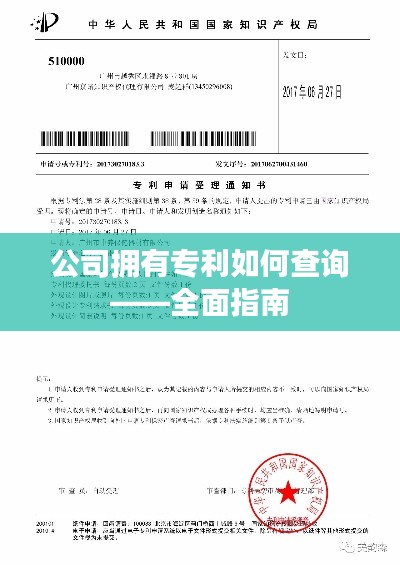 公司拥有专利如何查询——全面指南