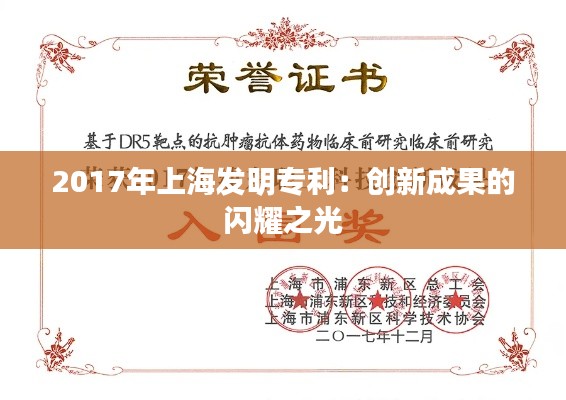 2017年上海发明专利:创新成果的闪耀之光