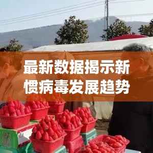 最新数据揭示新惯病毒发展趋势及防控策略