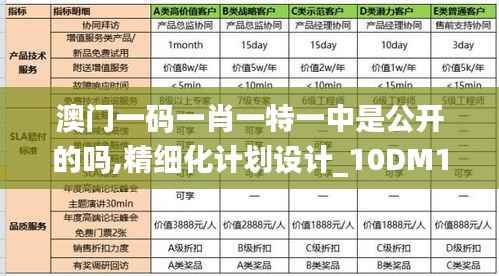 澳门一码一肖一特一中是公开的吗,精细化计划设计_10DM10.816