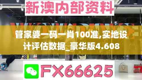 管家婆一码一肖100准,实地设计评估数据_豪华版4.608