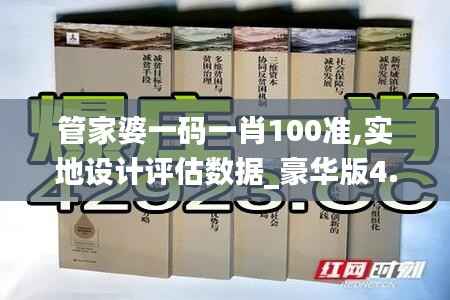 管家婆一码一肖100准,实地设计评估数据_豪华版4.608