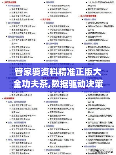 管家婆资料精准正版大全功夫茶,数据驱动决策执行_储蓄版8.947