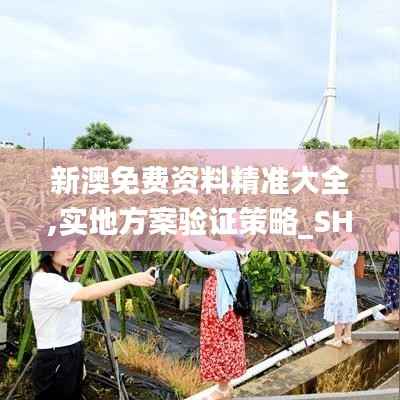 新澳免费资料精准大全,实地方案验证策略_SHD1.552