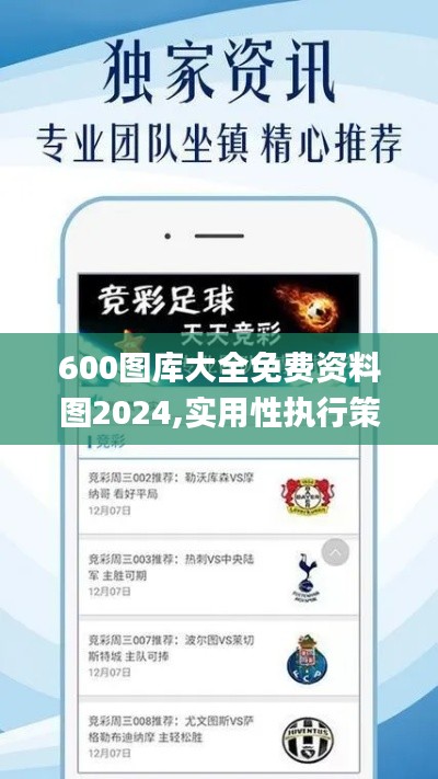 600图库大全免费资料图2024,实用性执行策略讲解_PalmOS2.878