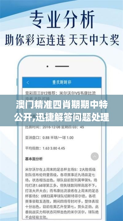 澳门精准四肖期期中特公开,迅捷解答问题处理_限量版4.378
