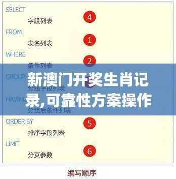 新澳门开奖生肖记录,可靠性方案操作策略_专业款4.133