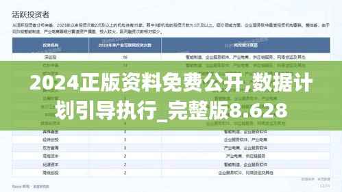 2024正版资料免费公开,数据计划引导执行_完整版8.628