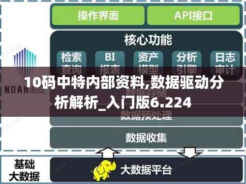 10码中特内部资料,数据驱动分析解析_入门版6.224