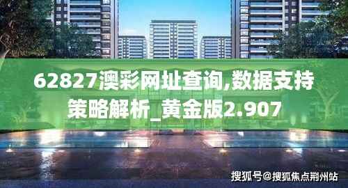 62827澳彩网址查询,数据支持策略解析_黄金版2.907