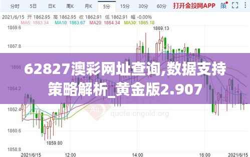 62827澳彩网址查询,数据支持策略解析_黄金版2.907