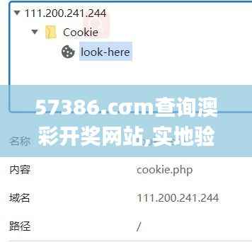 57386.cσm查询澳彩开奖网站,实地验证数据应用_WP版2.154
