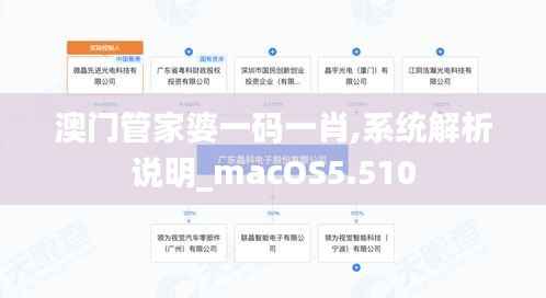 澳门管家婆一码一肖,系统解析说明_macOS5.510