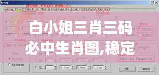 白小姐三肖三码必中生肖图,稳定性方案解析_Max2.968