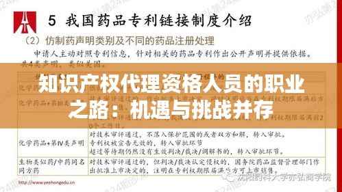 知识产权代理资格人员的职业之路:机遇与挑战并存
