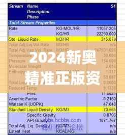 2024新奥精准正版资料345期,快速问题处理策略_升级版9.442
