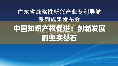 中国知识产权促进:创新发展的坚实基石